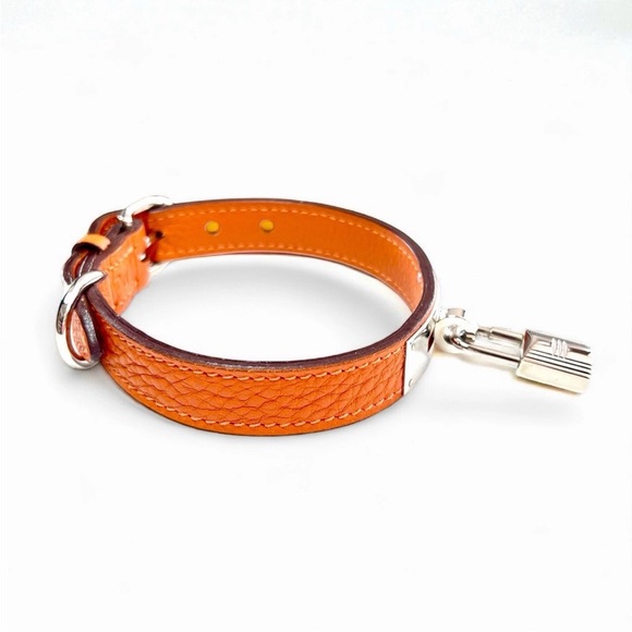 Hermes Orange Pet Collar and Leash Set - Picture 5 of 16